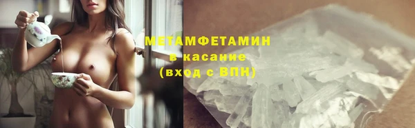 индика Верхний Тагил